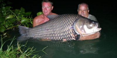 Richard Foster Siamese carp 130lb 1.jpg